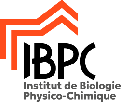 Institut of Physico-Chemical Biology